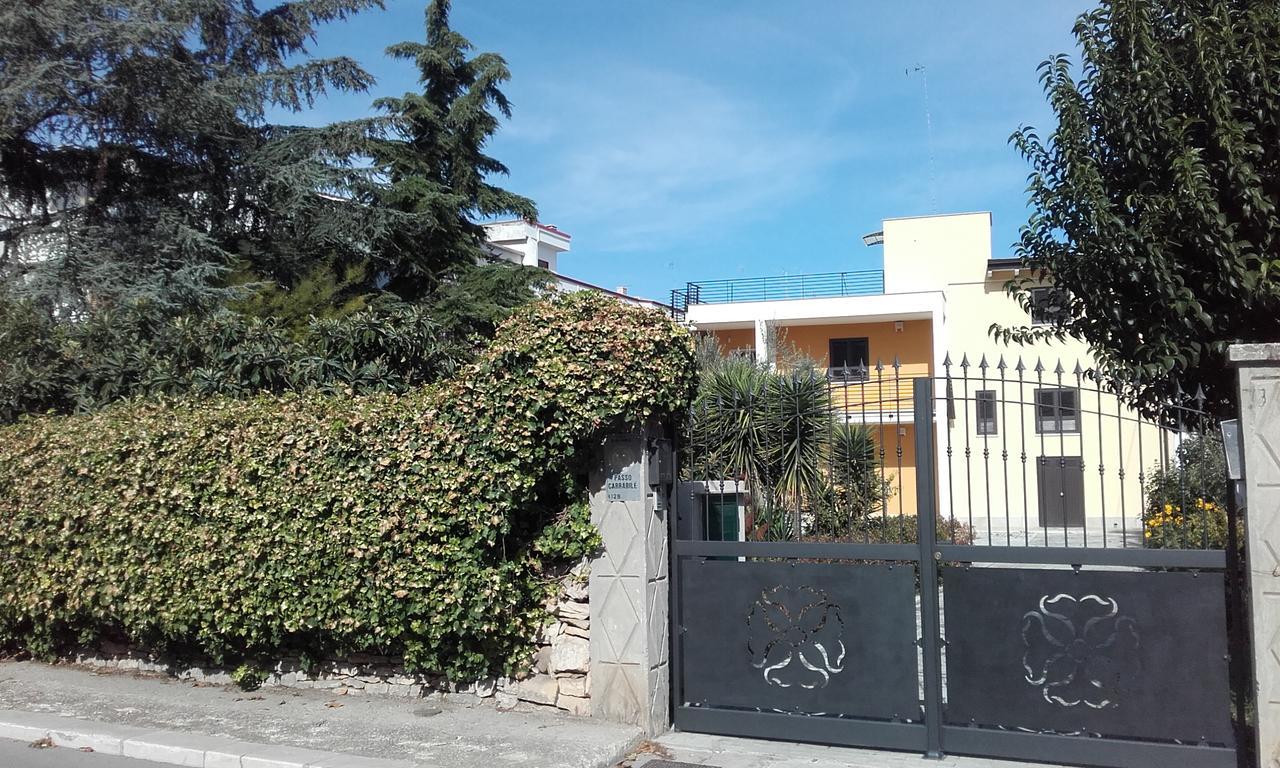 B&B La Palma Ruvo di Puglia Ngoại thất bức ảnh